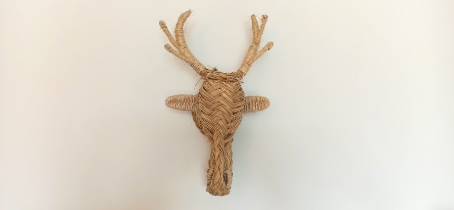 la-chambre-du-chai-de-la-maison-les-rives-du-rochefollet