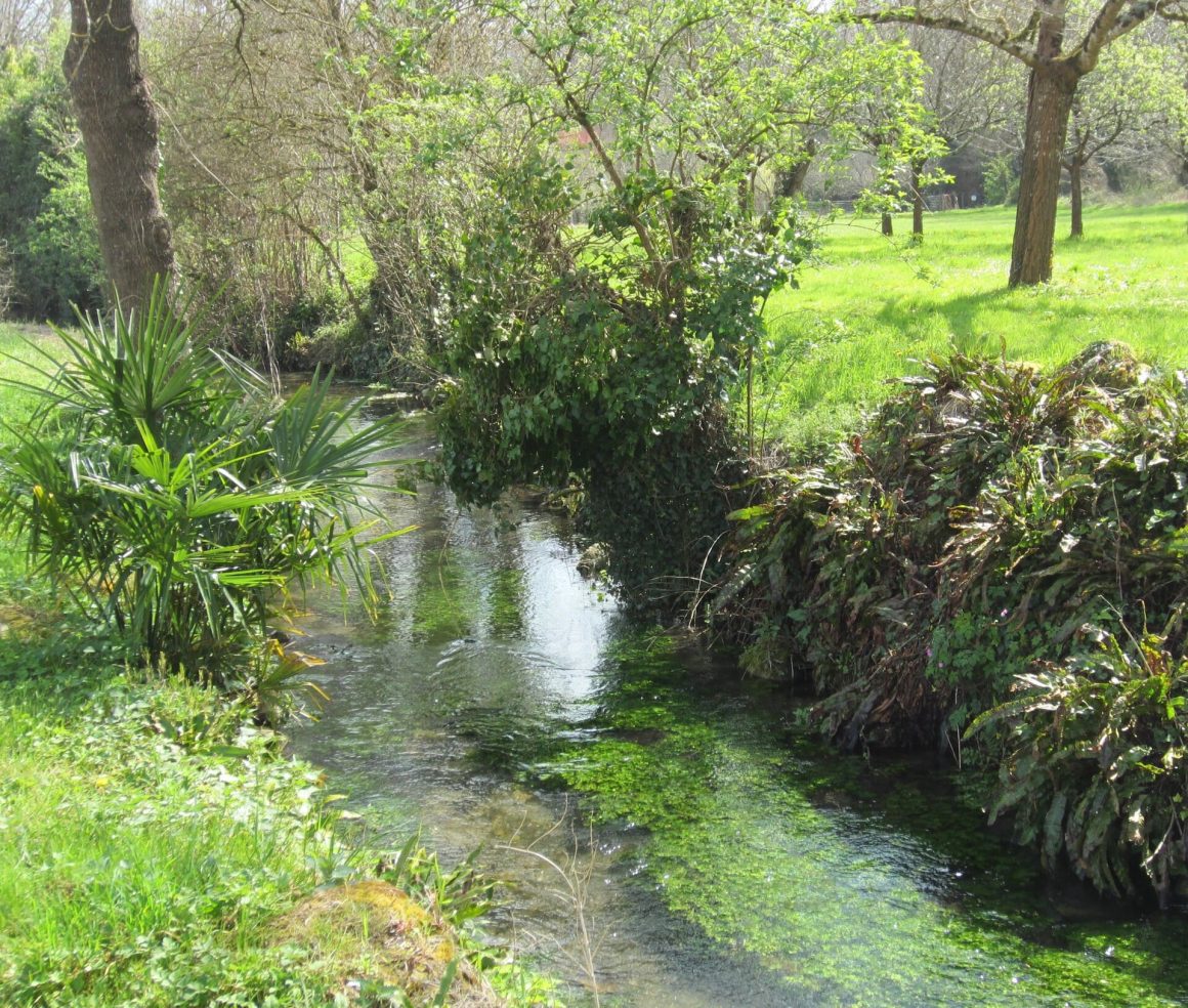 les-rives-du-ruisseau-le-rochefollet