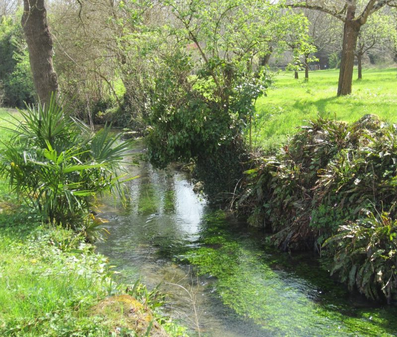 les-rives-du-ruisseau-le-rochefollet
