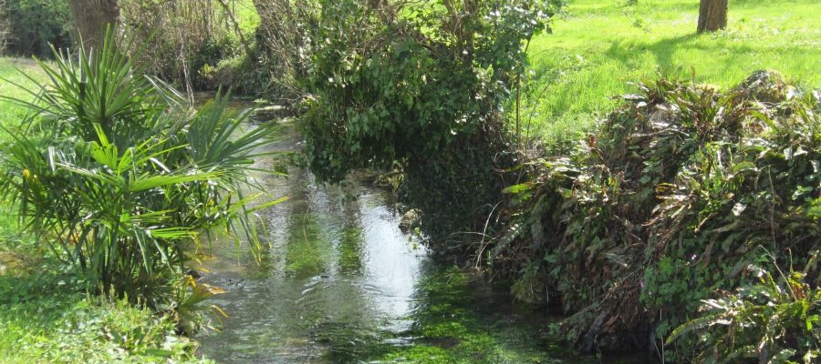 les-rives-du-ruisseau-le-rochefollet