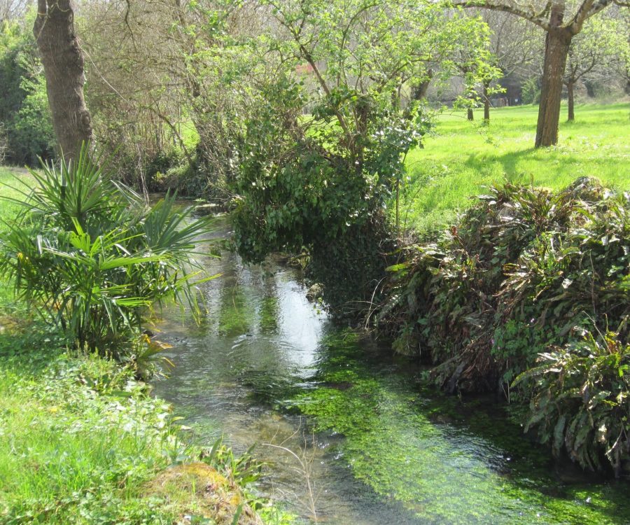 les-rives-du-ruisseau-le-rochefollet
