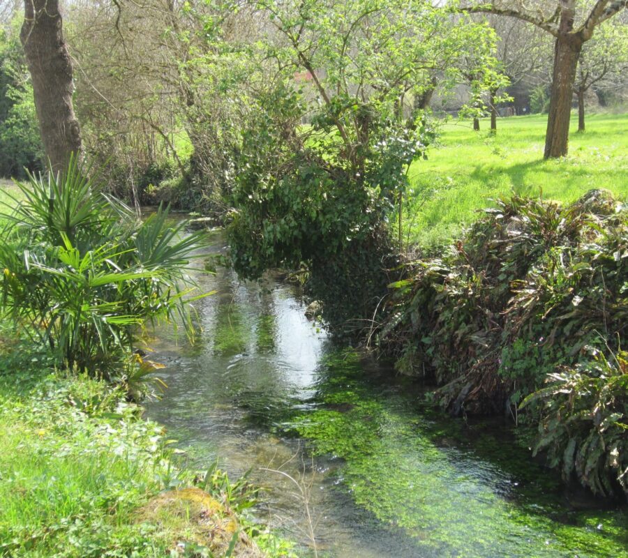 les-rives-du-ruisseau-le-rochefollet