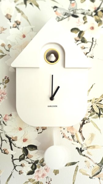 coucou-de-la-cuisine-de-la-maison-les-rives-du-rochefollet