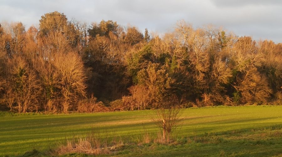 paysage-de-saint-vaize