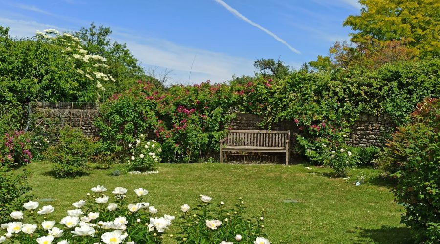Jardin de la maison d'hôtes Les rives du rochefollet à Saint Vaize Saintes